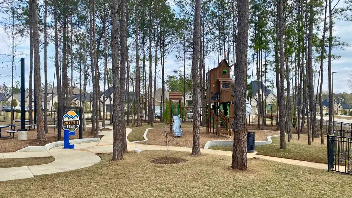 Everett's Peak Park